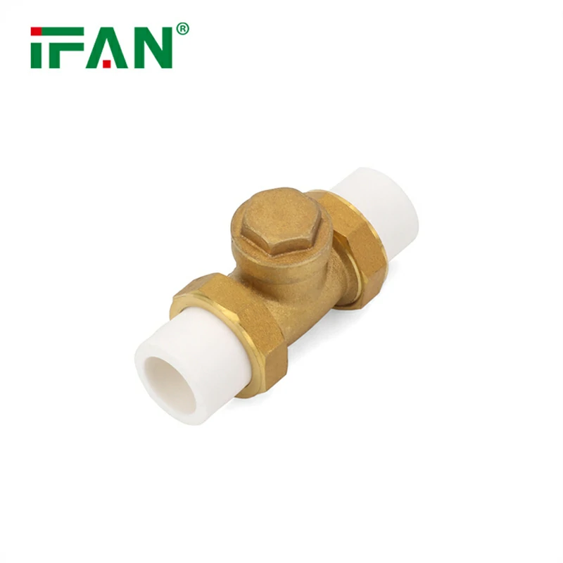 PPR horizontal check valve