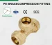 Pe Brasscompression Fitting